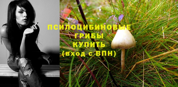 эйфоретик Туринск