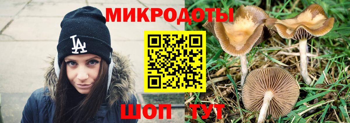 Псилоцибиновые грибы Cubensis Богородицк