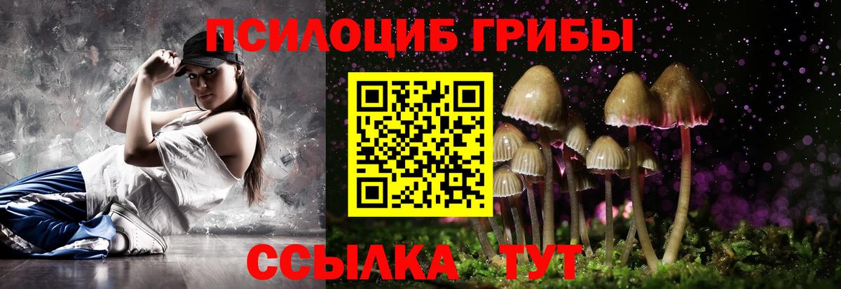 Псилоцибиновые грибы Psilocybe Богородицк