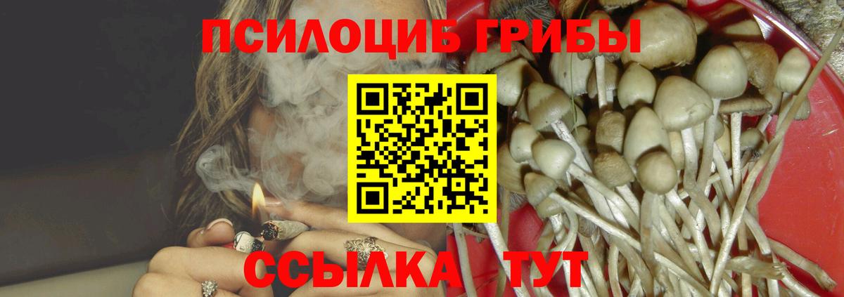 Псилоцибиновые грибы мухоморы  купить закладку  Галлюциногенные грибы GOLDEN TEACHER  Богородицк 