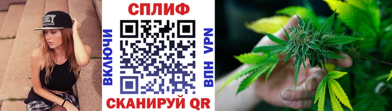 ОМГ ОМГ ССЫЛКА Богородицк Бошки марихуана индика